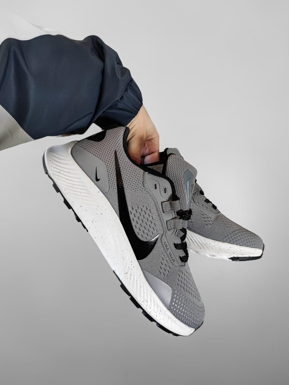 Nike Pegasus Trail 3 Gray
