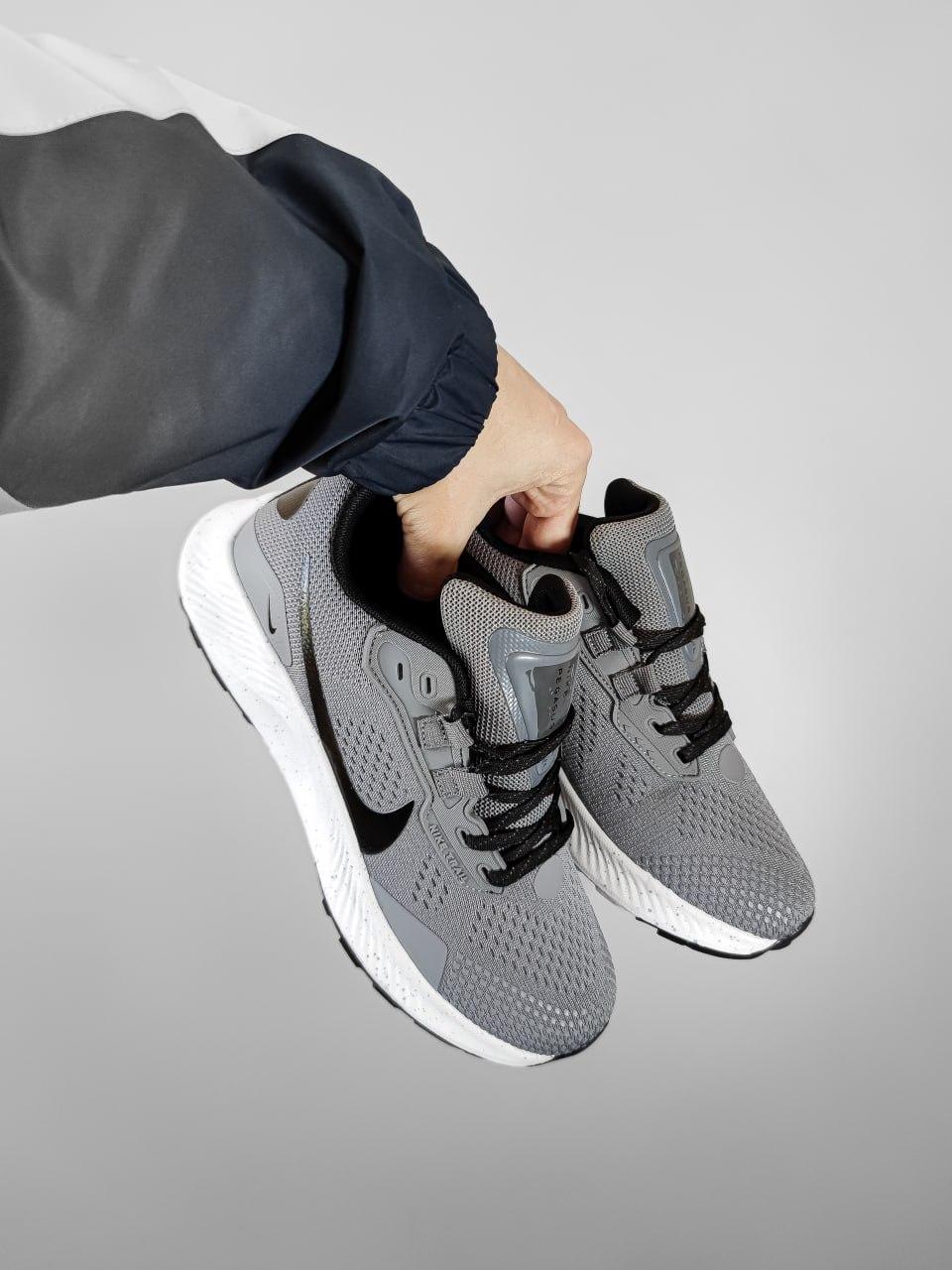 Nike Pegasus Trail 3 Gray