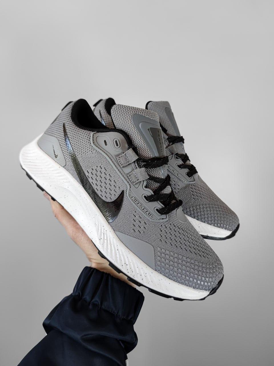 Nike Pegasus Trail 3 Gray