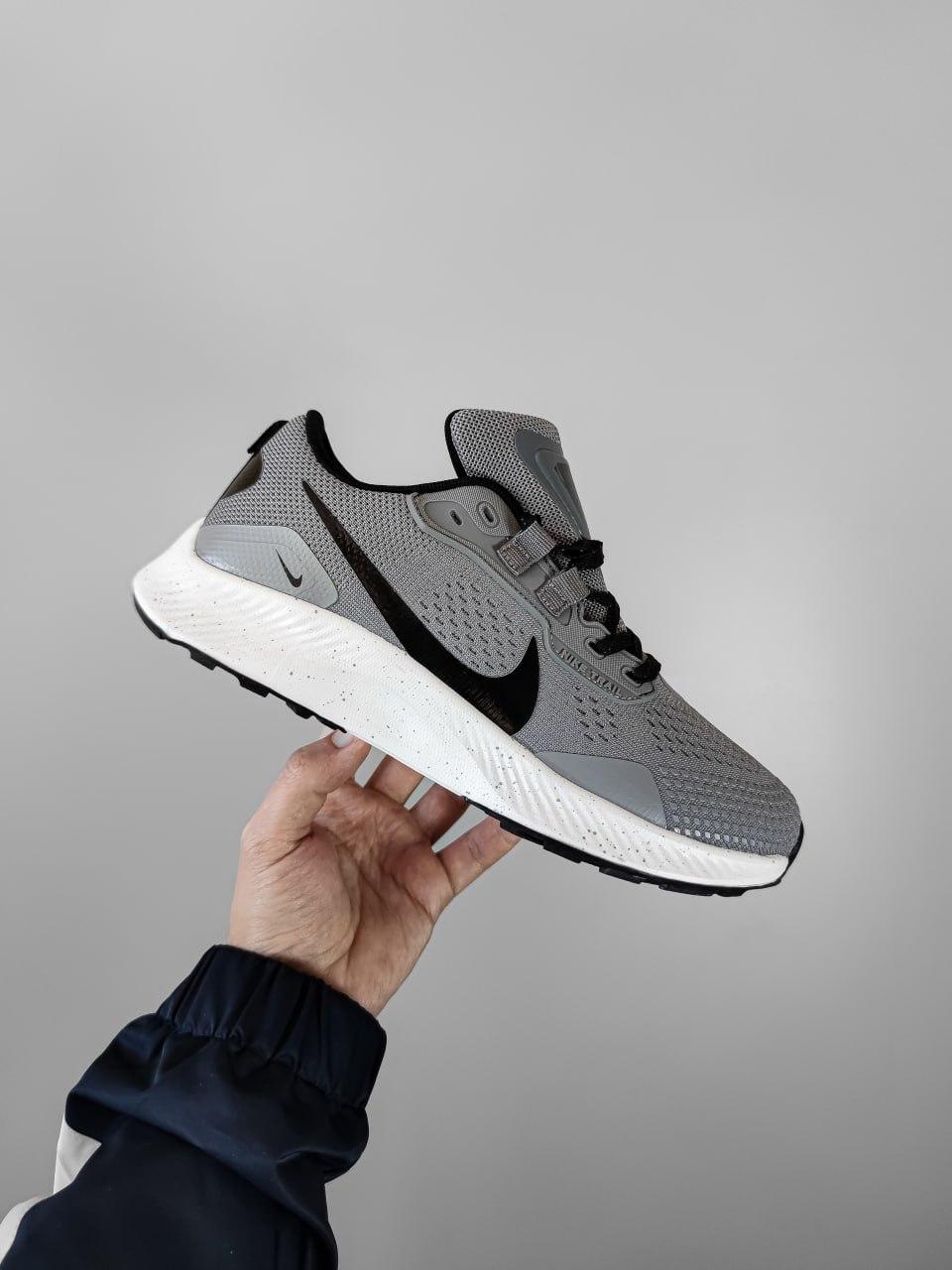 Nike Pegasus Trail 3 Gray