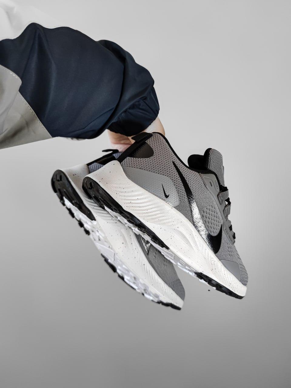 Nike Pegasus Trail 3 Gray