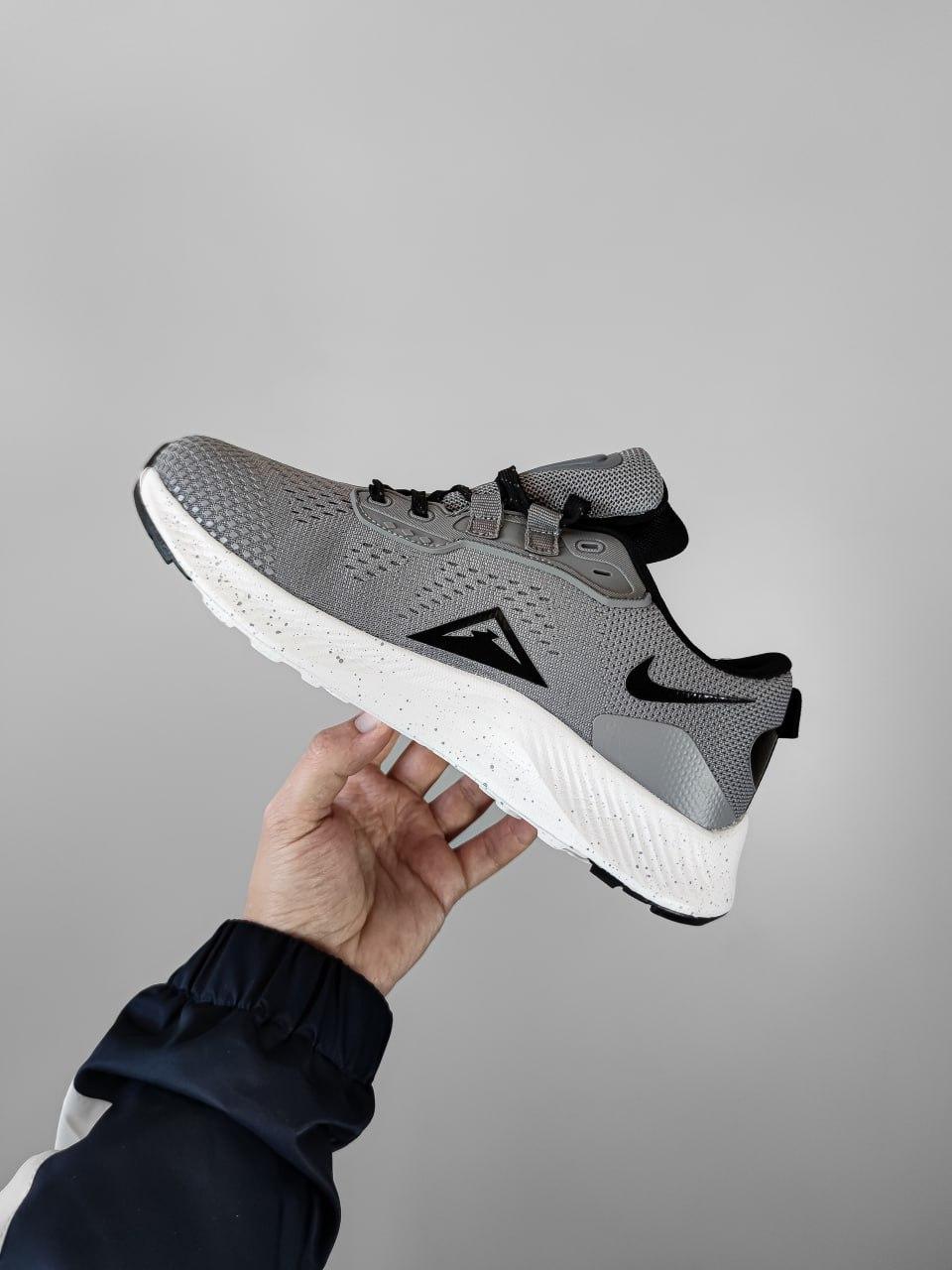 Nike Pegasus Trail 3 Gray