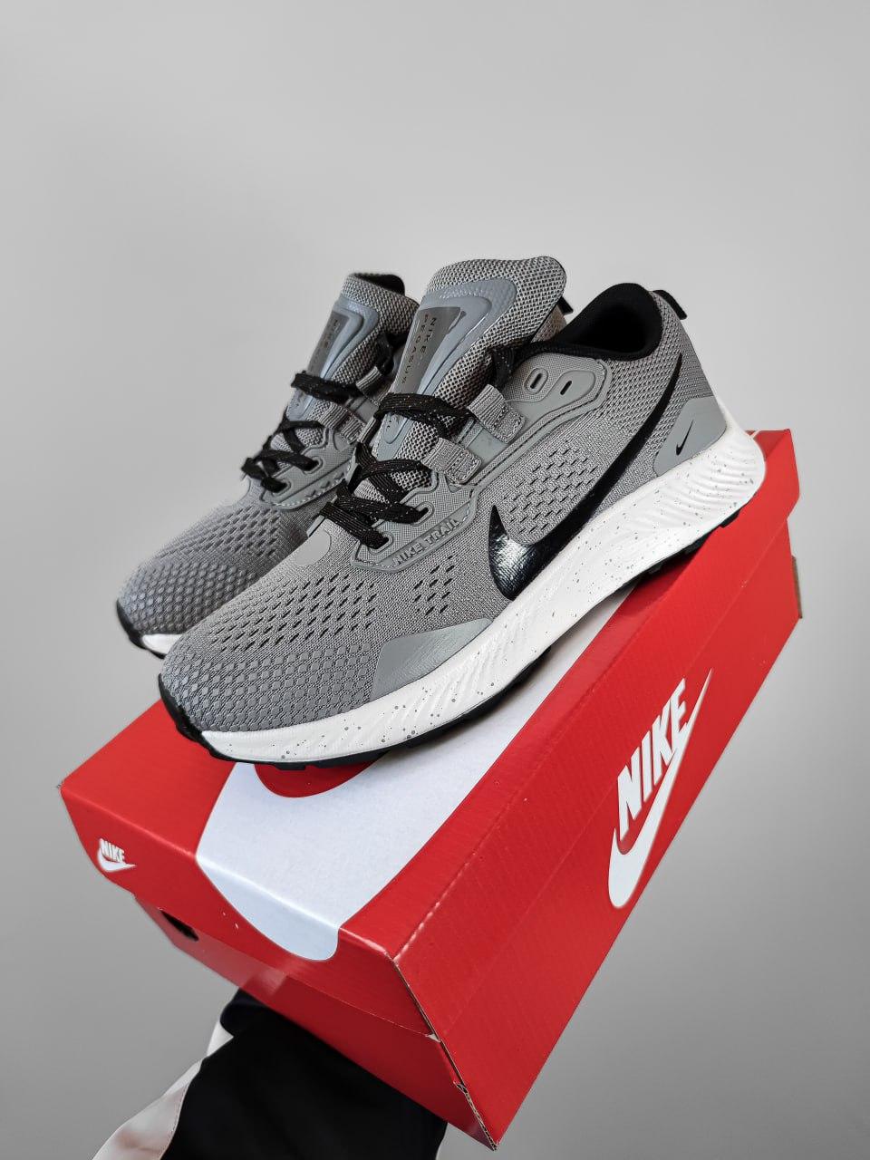 Nike Pegasus Trail 3 Gray