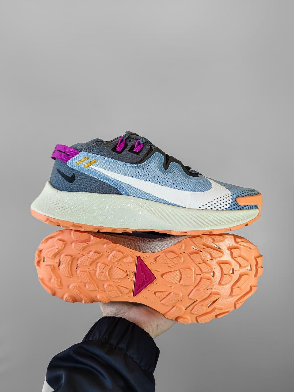 Nike Pegasus Trail 2 Blue