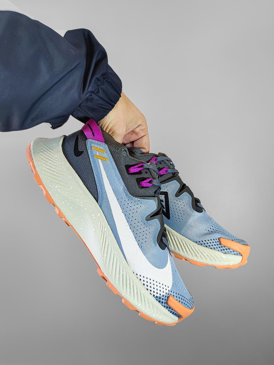 Nike Pegasus Trail 2 Blue