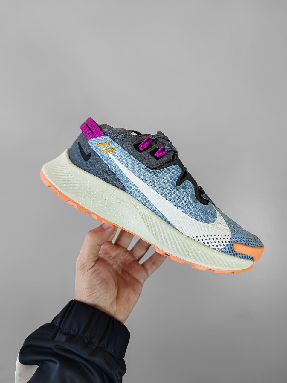 Nike Pegasus Trail 2 Blue