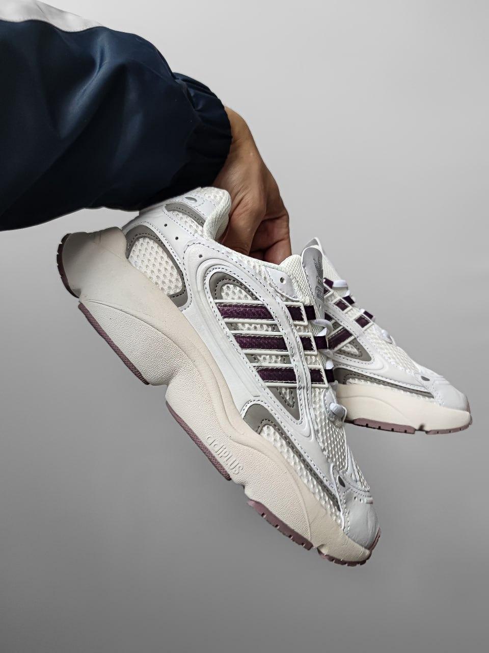 Adidas Ozmillen Beige/Violet