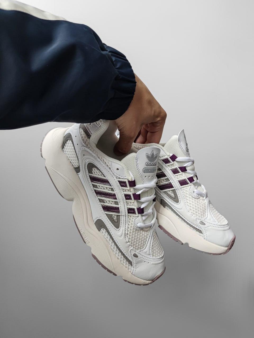 Adidas Ozmillen Beige/Violet