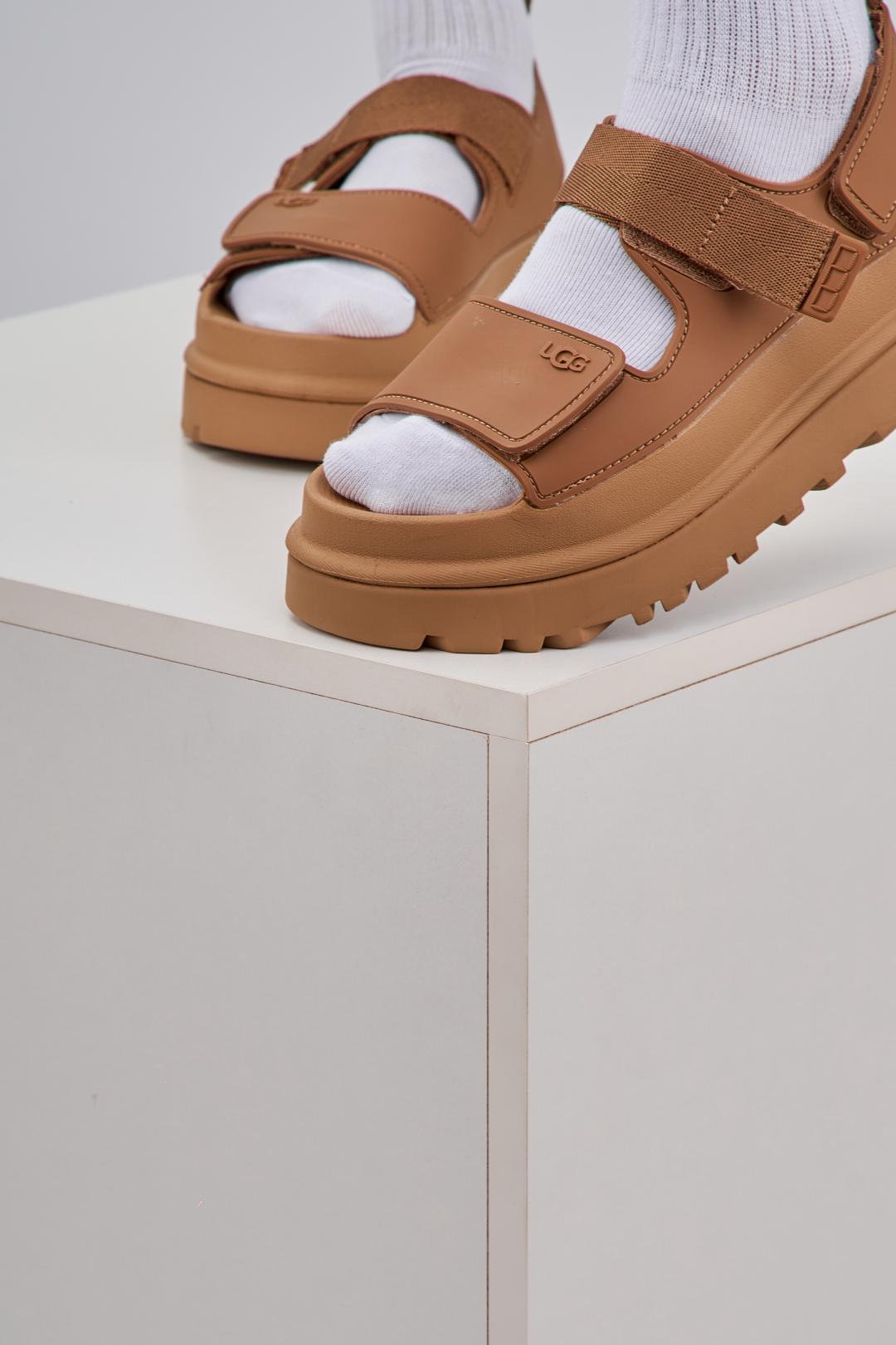 Ugg Brown v2