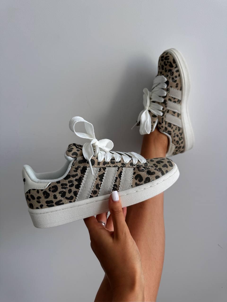 Adidas campus “LEOPARD”