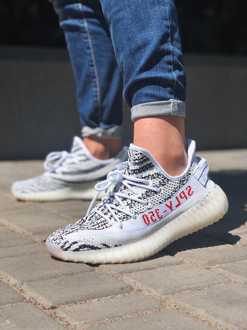 Adidas Yeezy 350 Zebra