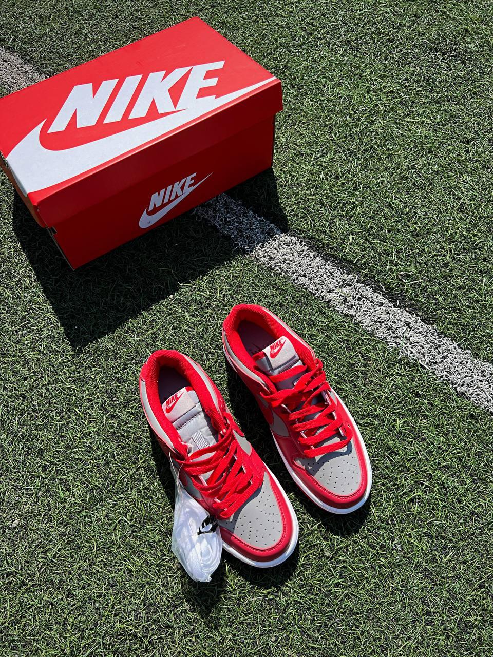 Nike SB Dunk Low Retro Medium Grey Red v2