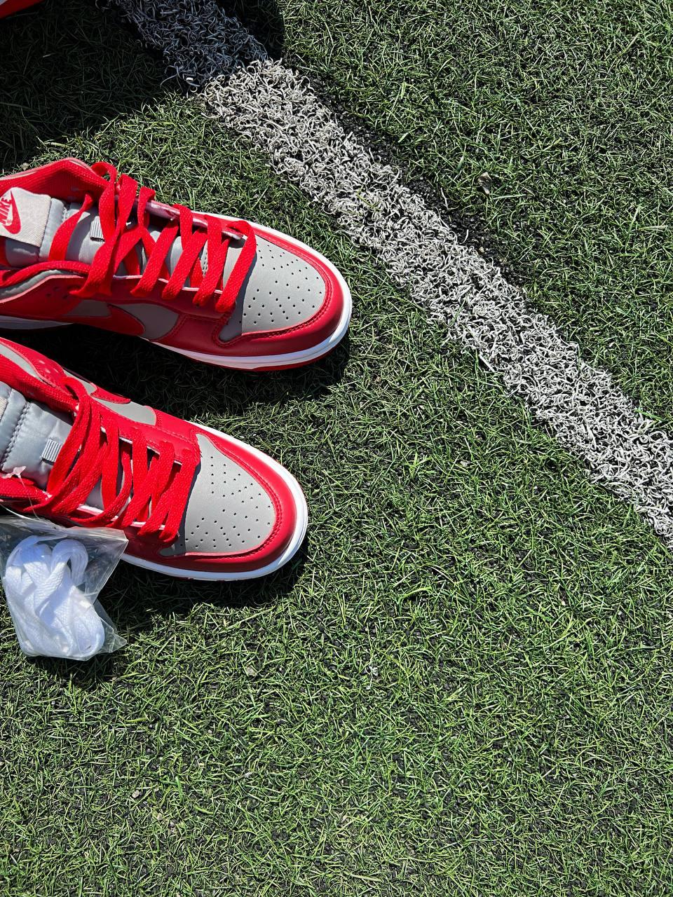 Nike SB Dunk Low Retro Medium Grey Red v2