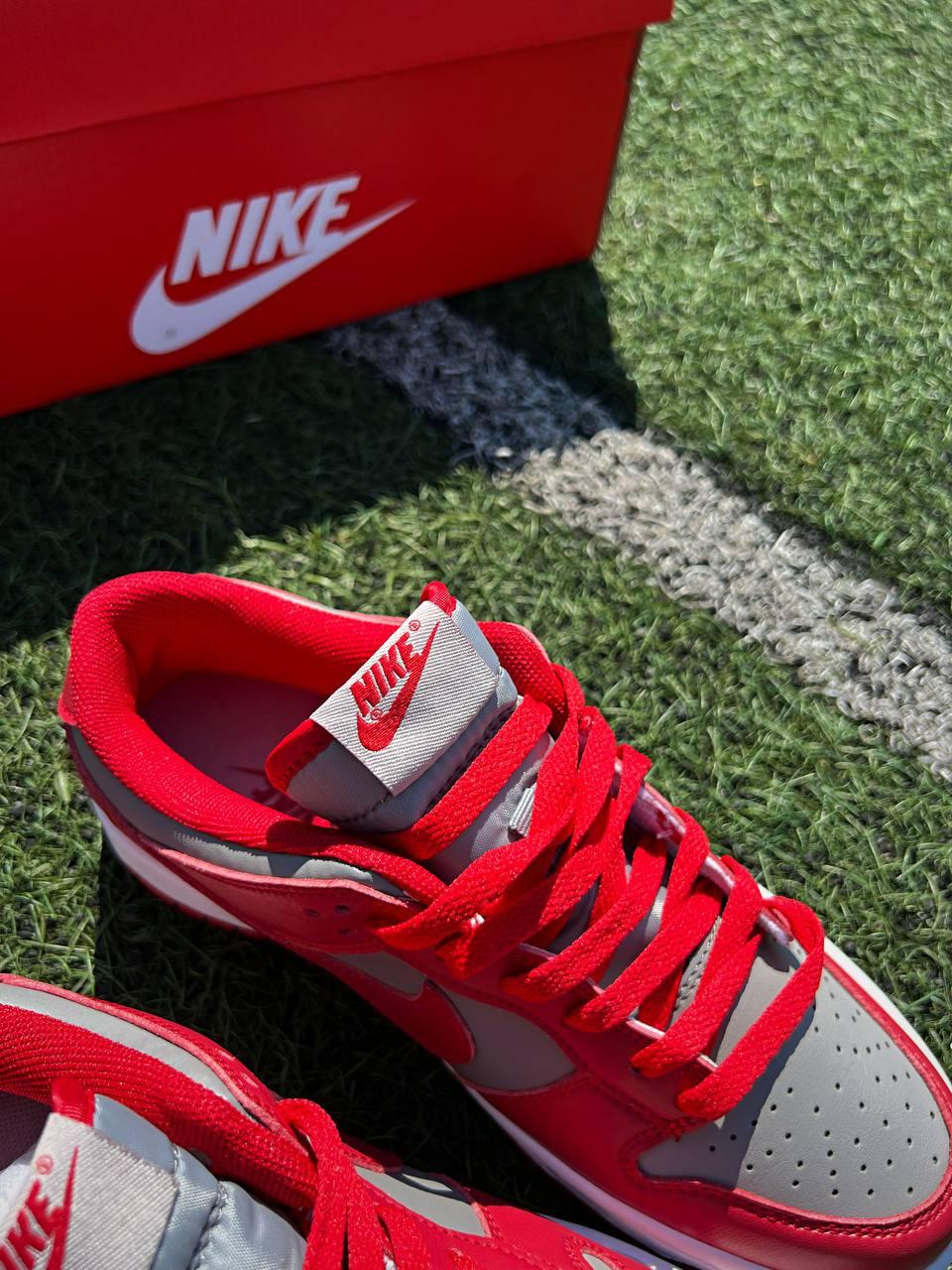 Nike SB Dunk Low Retro Medium Grey Red v2