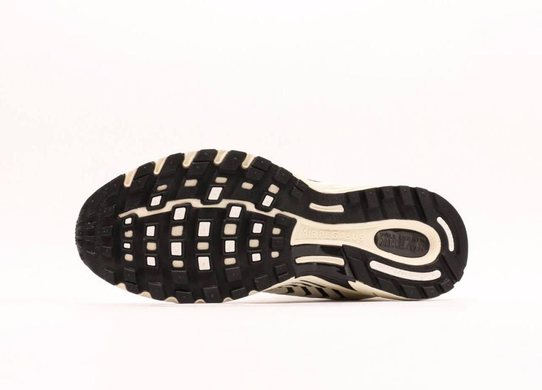 Nike Pegasus 2K5