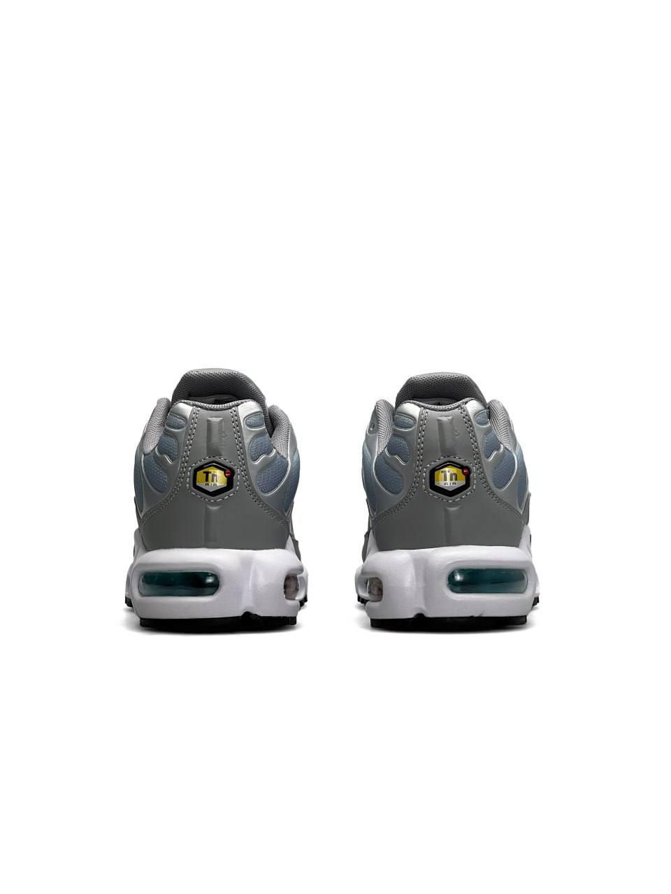 Nike Air Max Plus Silver Sky
