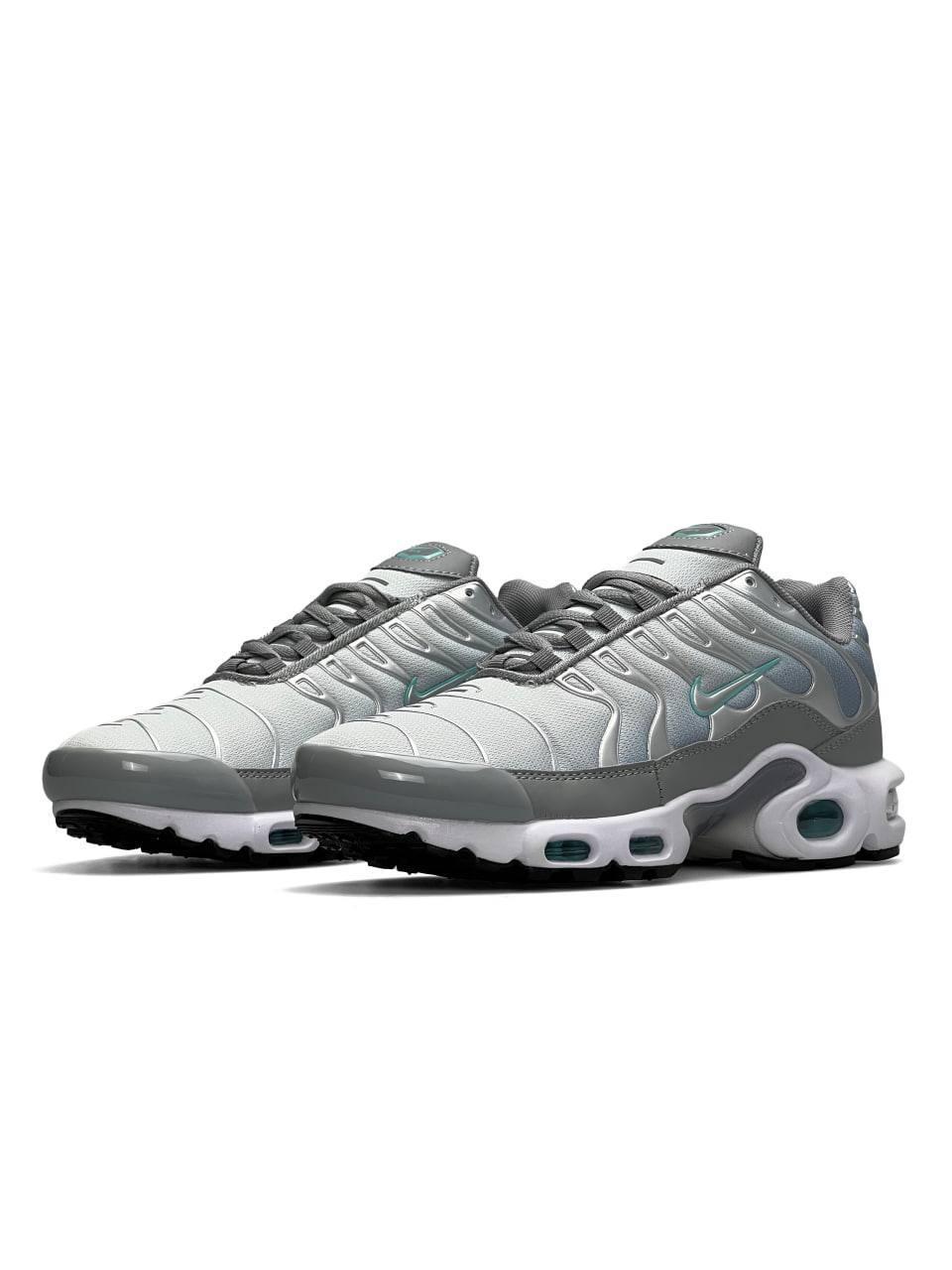 Nike Air Max Plus Silver Sky