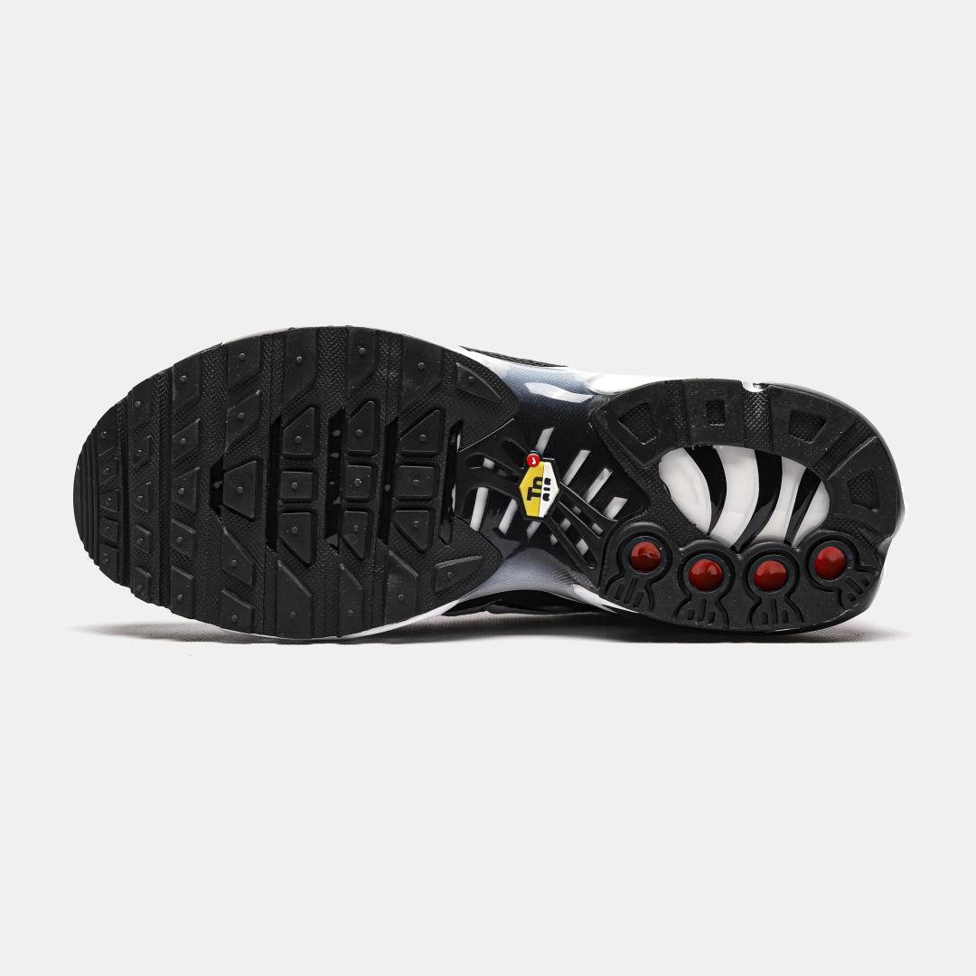 Nike Air Max Plus Black Silver White