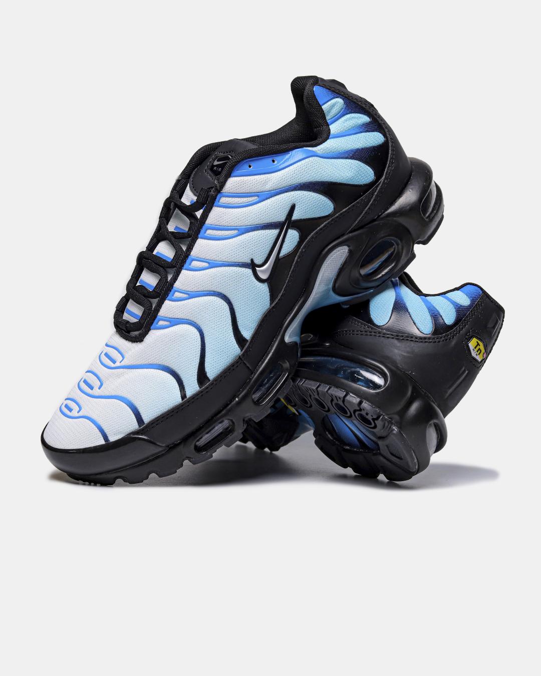 Nike Air Max Plus 'Blue Gradient'