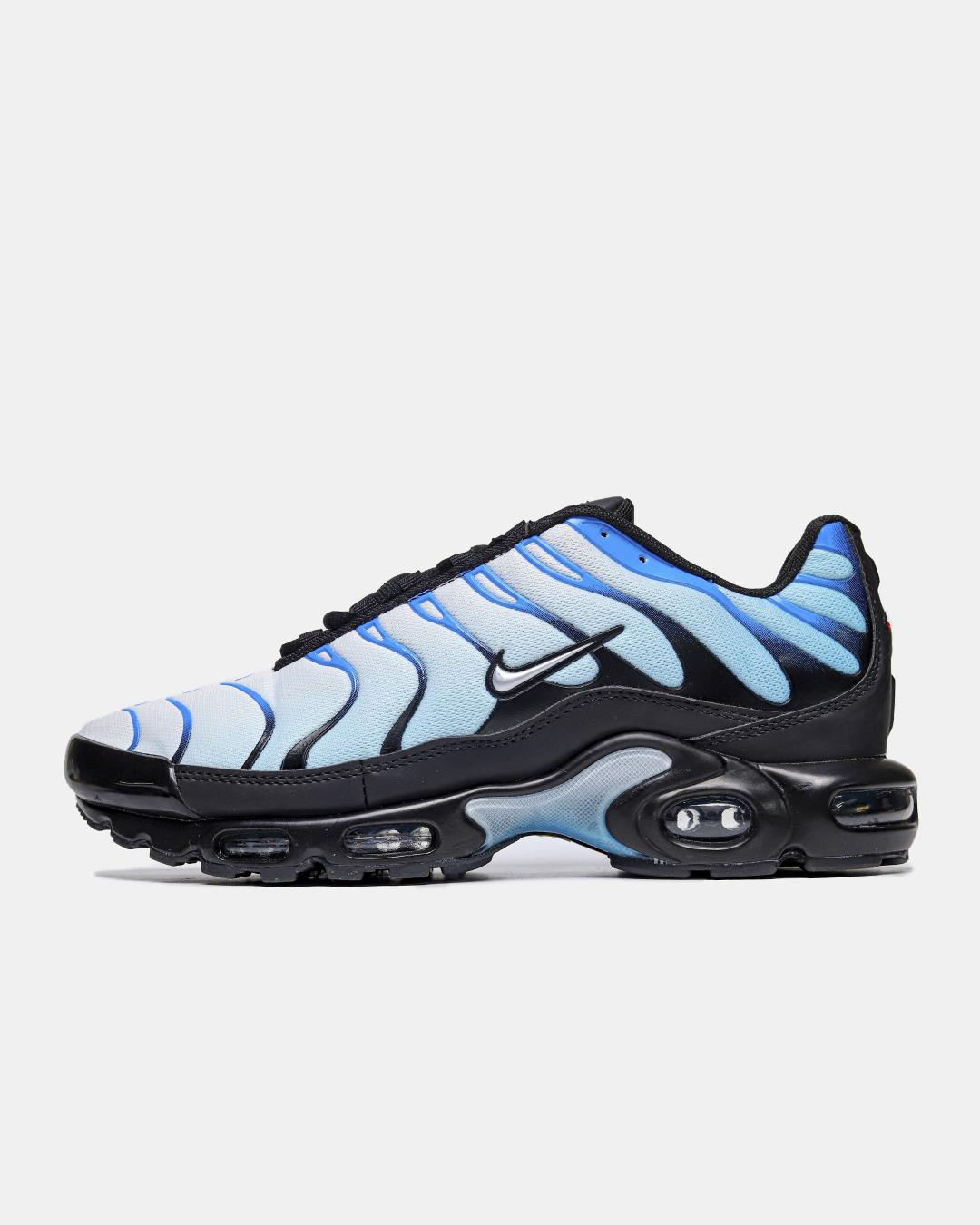 Nike Air Max Plus 'Blue Gradient'