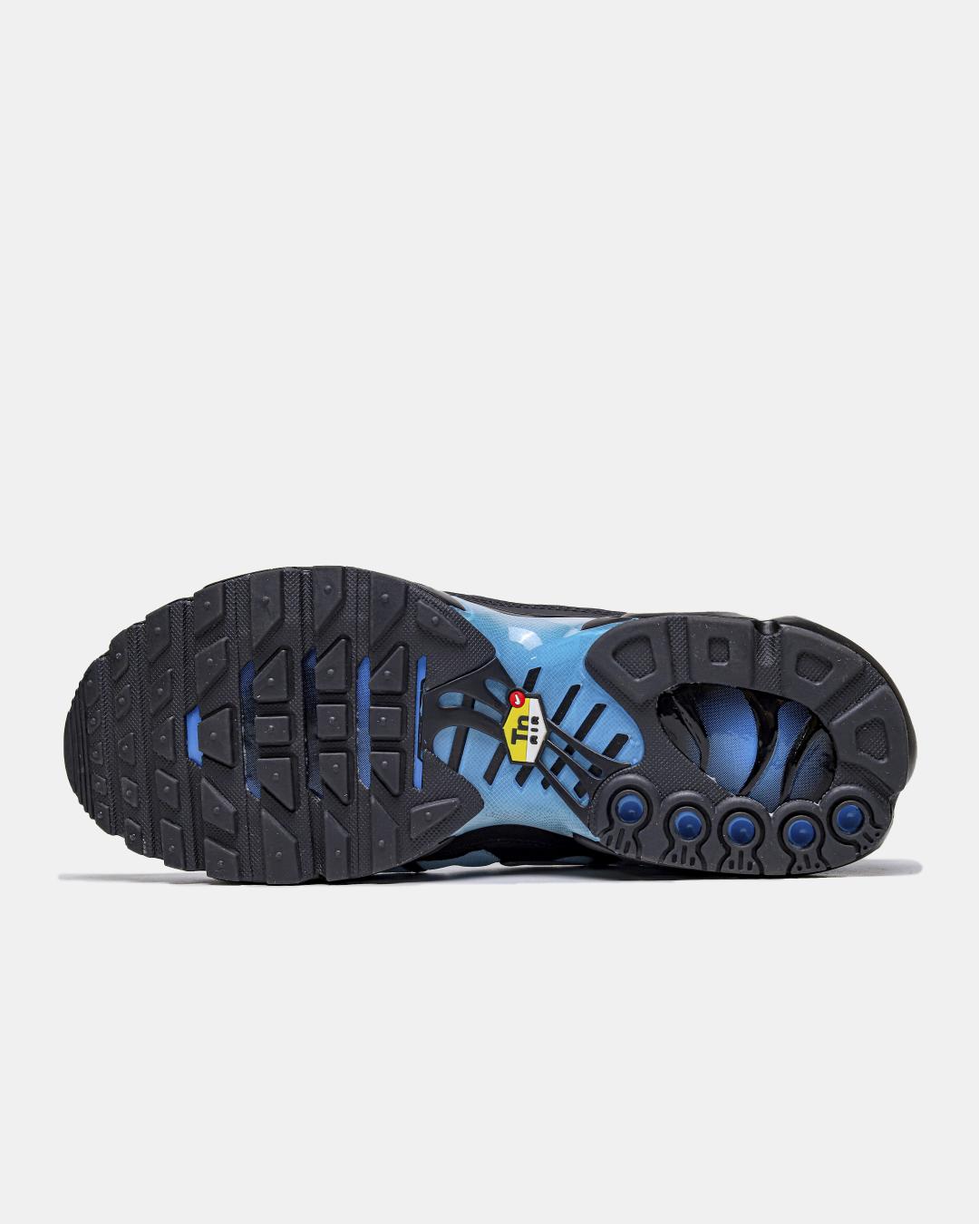 Nike Air Max Plus 'Blue Gradient'