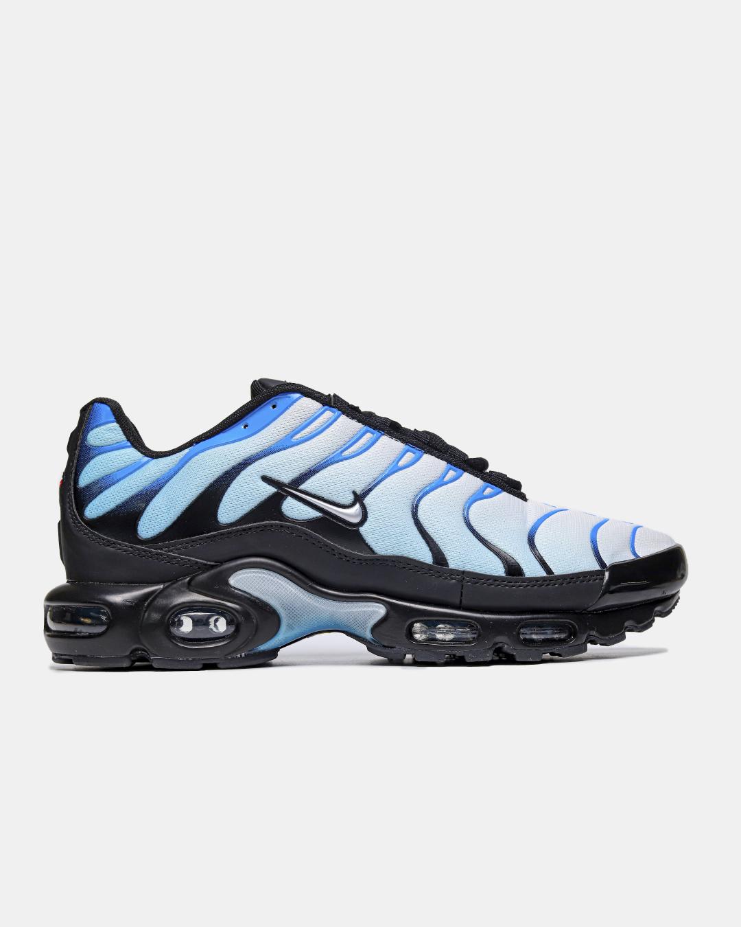 Nike Air Max Plus 'Blue Gradient'