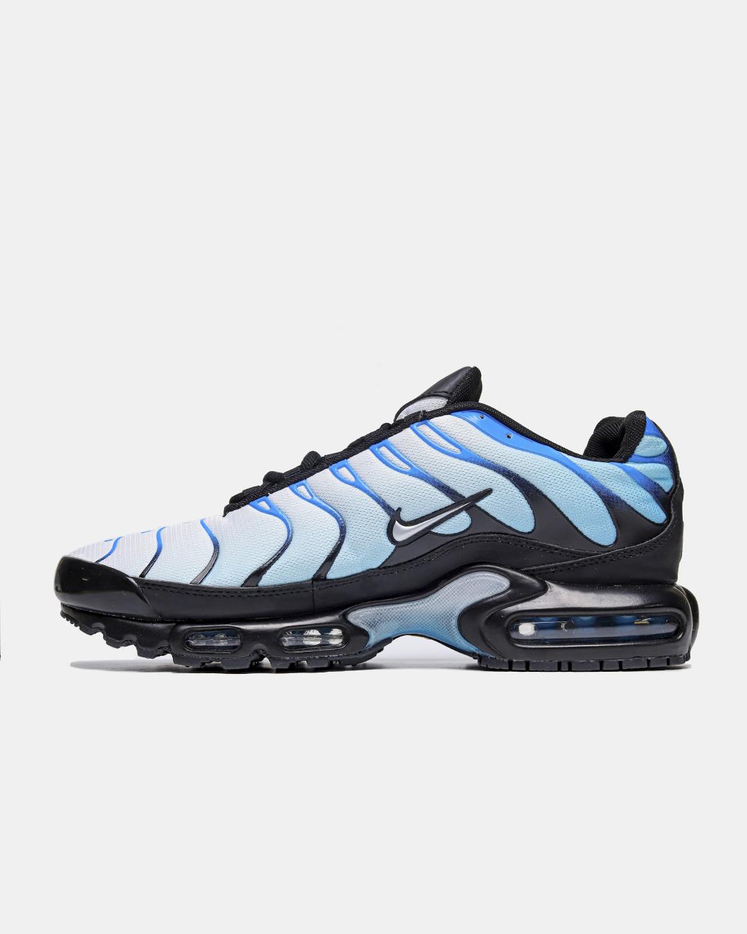 Nike Air Max Plus 'Blue Gradient'
