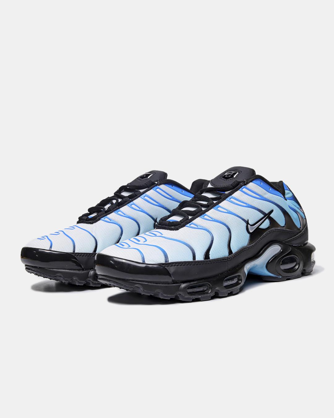 Nike Air Max Plus 'Blue Gradient'