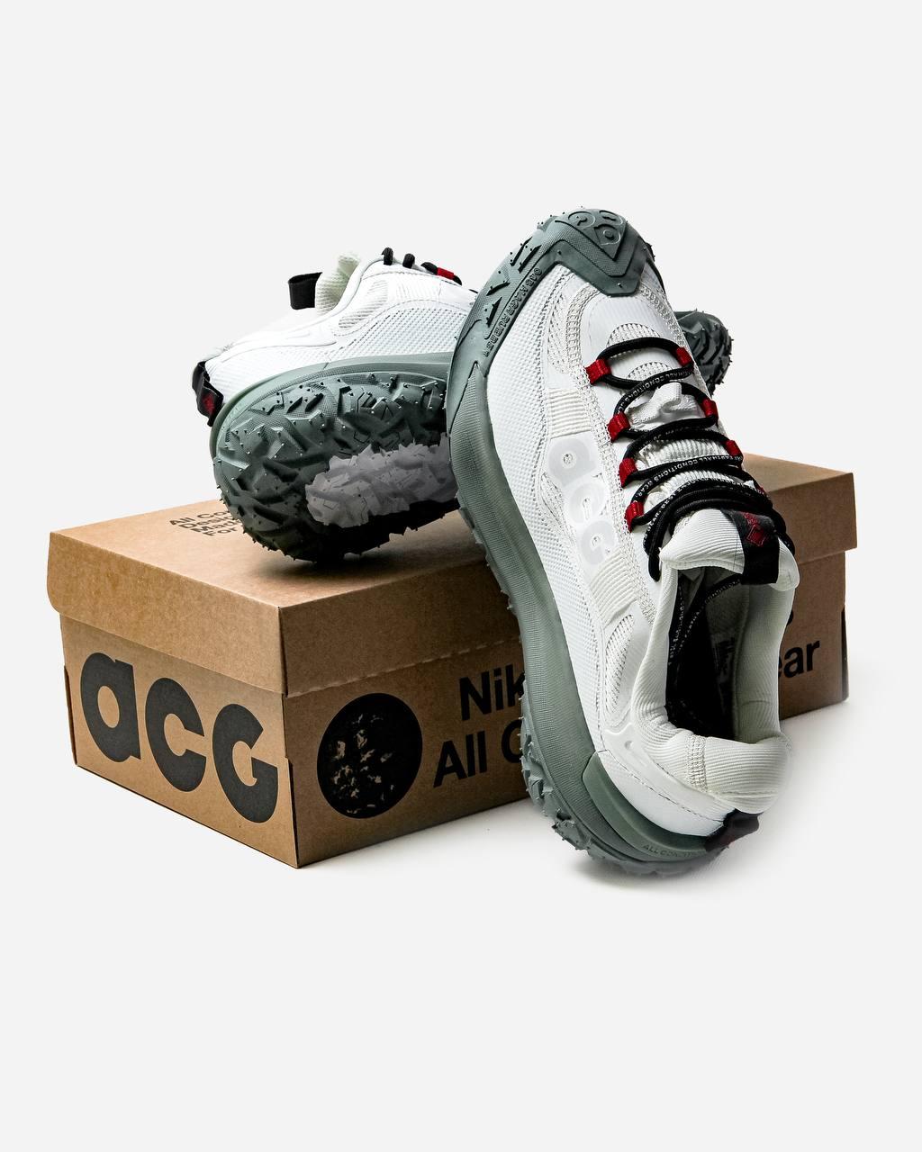 Nike ACG Mountain Fly 2 Low GTX Beige Dark Smoke Grey