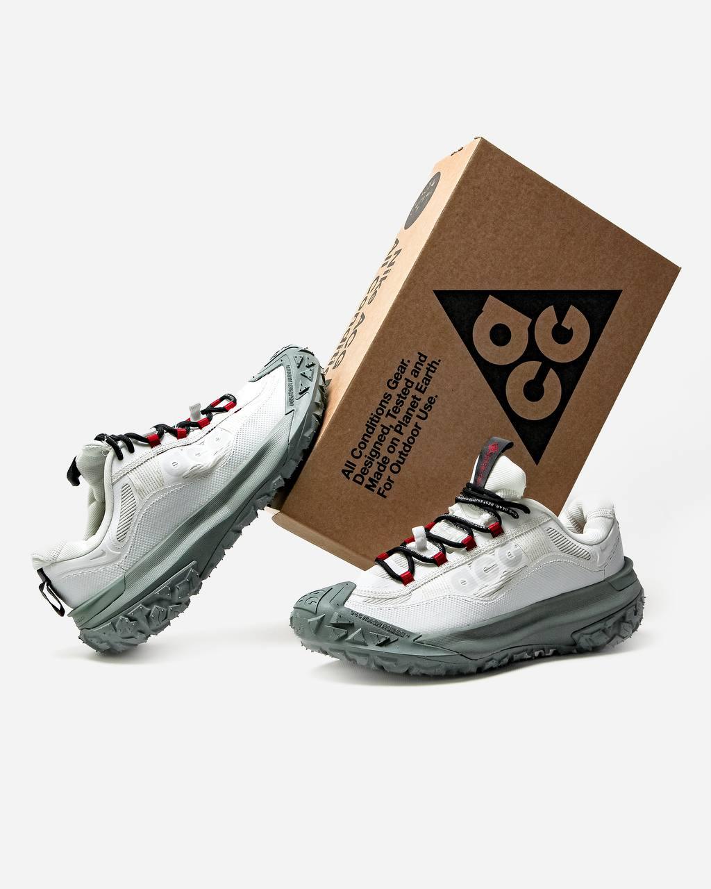 Nike ACG Mountain Fly 2 Low GTX Beige Dark Smoke Grey