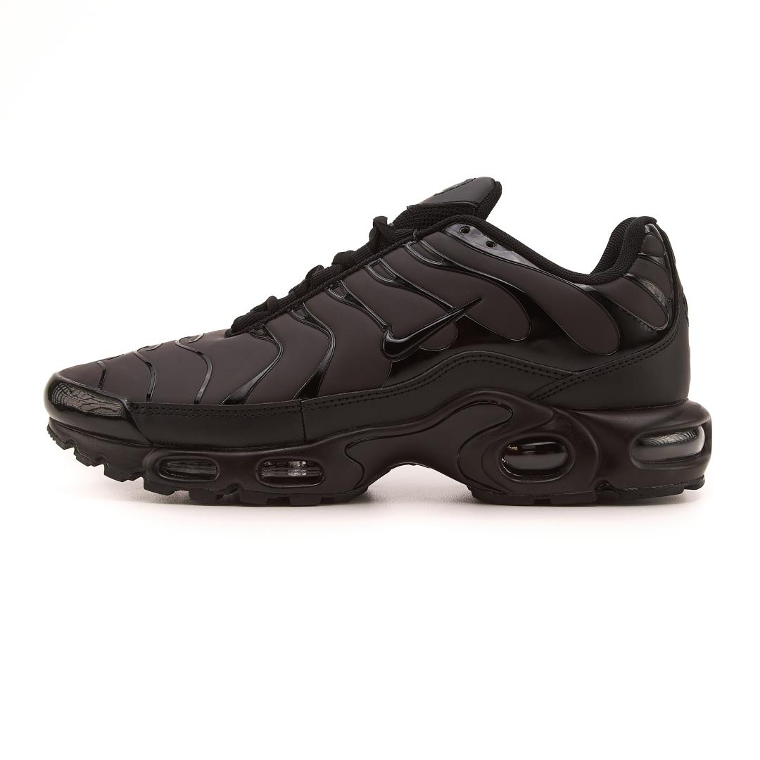 Nike Air Max TN Plus Chameleon Blue