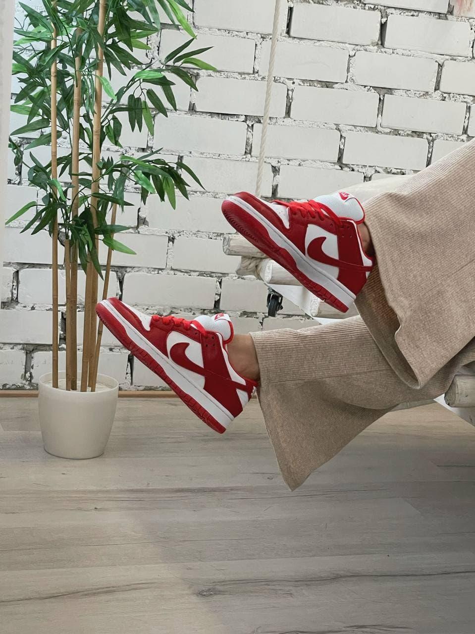 Nike Dunk Disrupt Red White 1