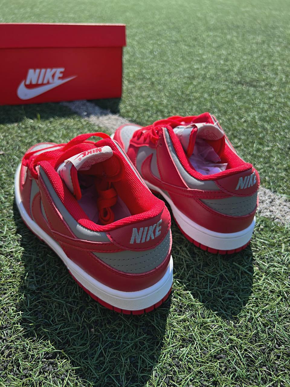 Nike SB Dunk Retro Medium Grey Red