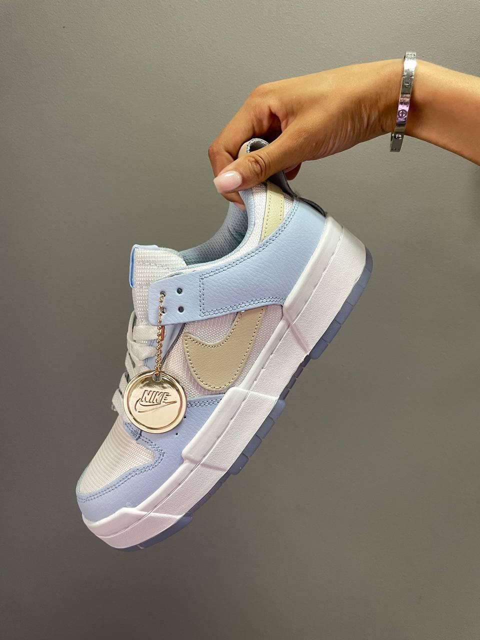 Nike Dunk Disrupt Ghost