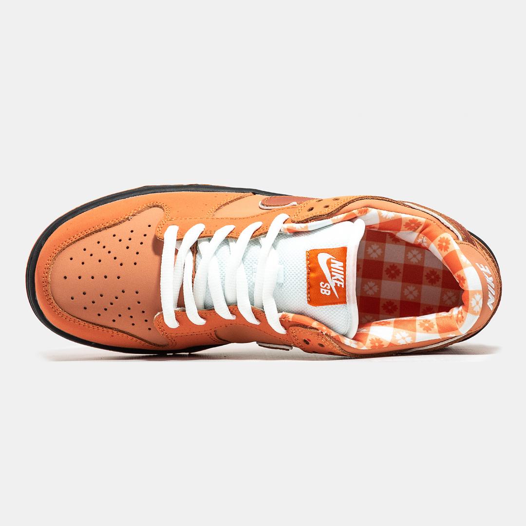 Concepts x Nike SB Dunk Low Orange Lobster
