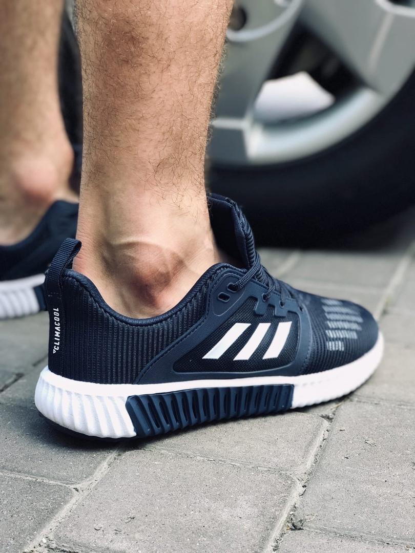 Adidas ClimaCool 1 Blue White 2