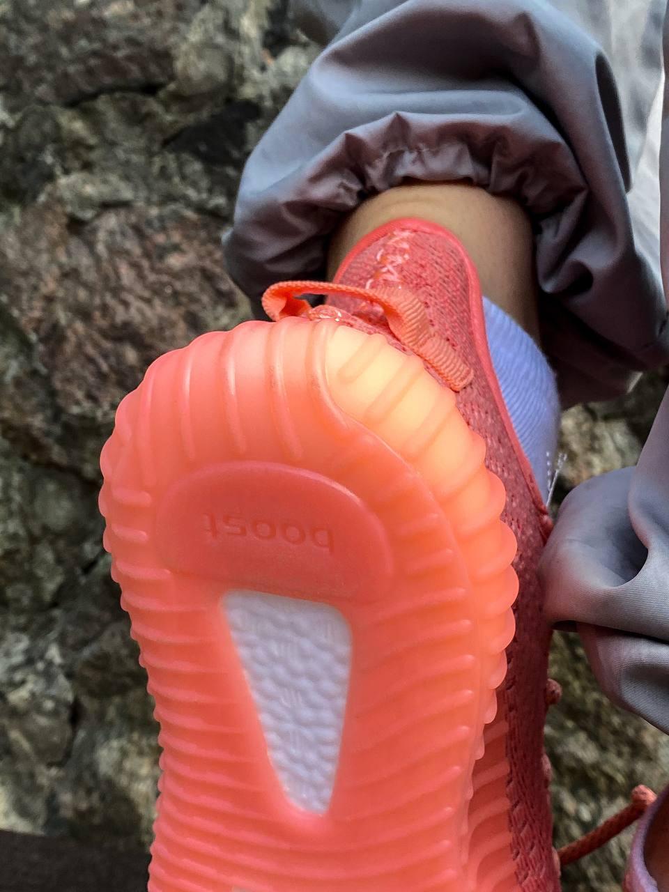 Adidas Yeezy Boost 350 Coral (Рефлективні шнурки)