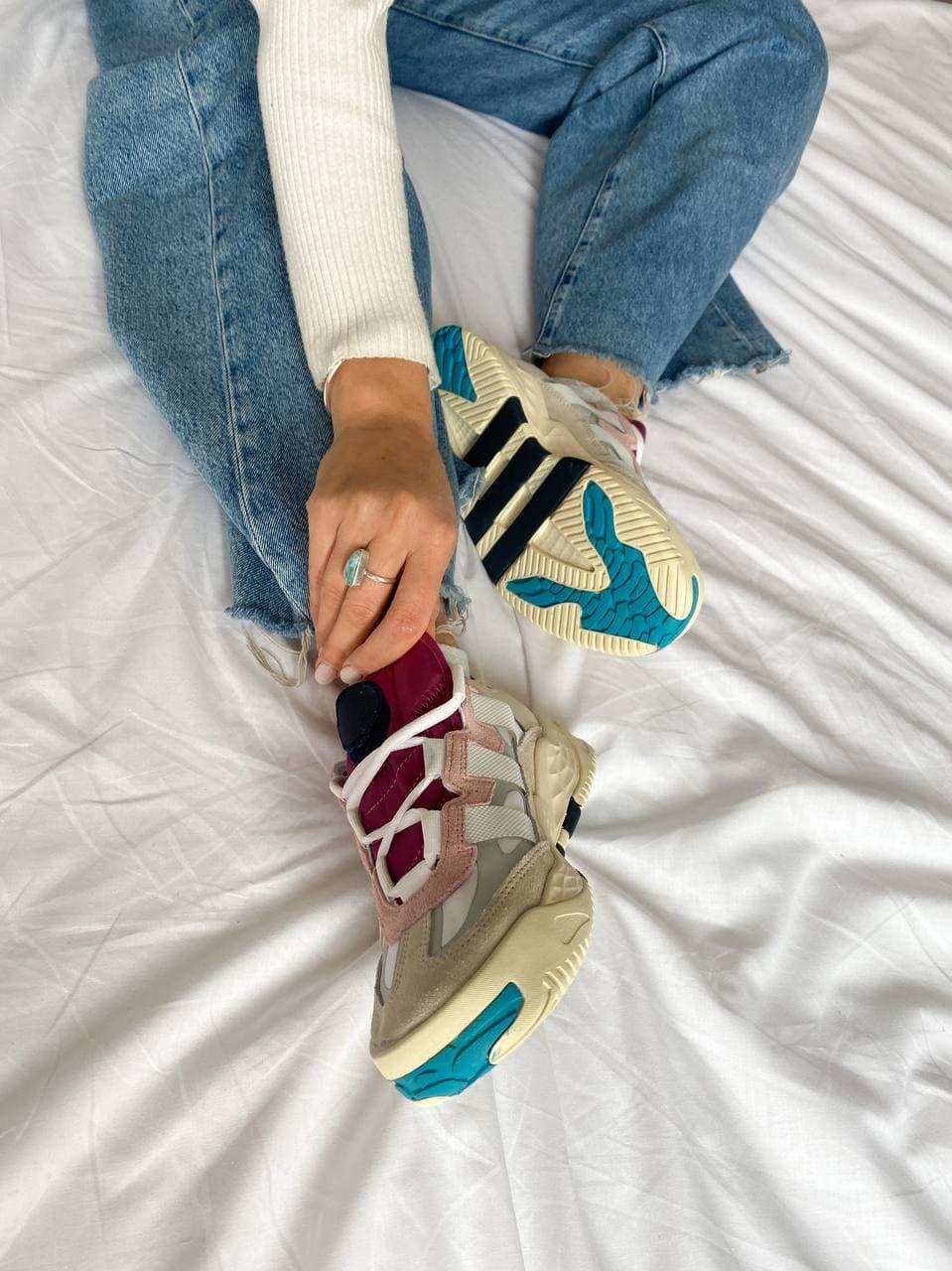 Adidas Niteball Beige Bordo Black Blue
