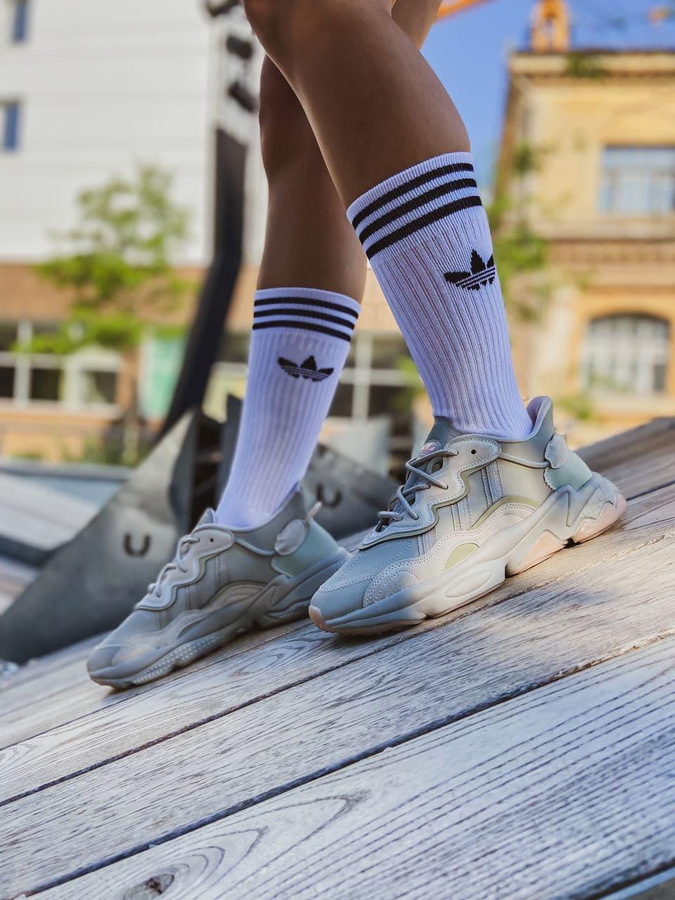 Adidas Ozweego Adiprene Pride Metal Grey