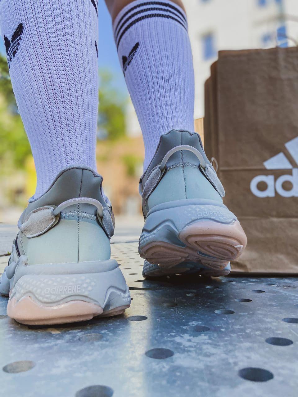 Adidas Ozweego Adiprene Pride Metal Grey