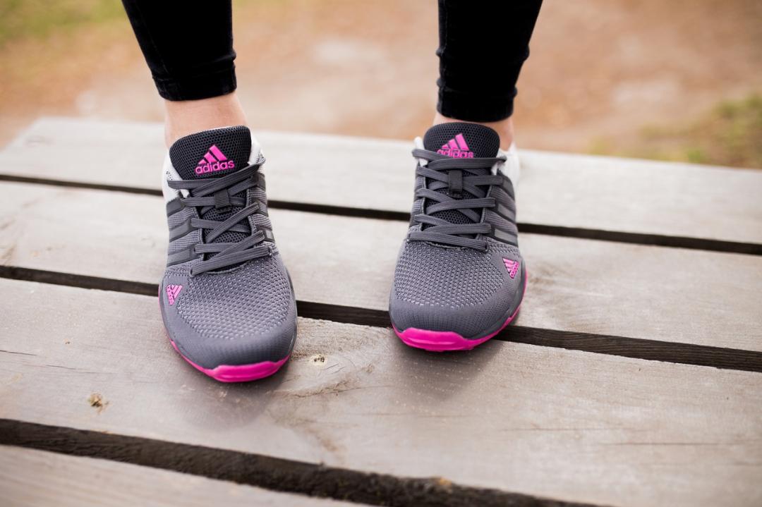 Adidas Terrex AX2 Grey Pink