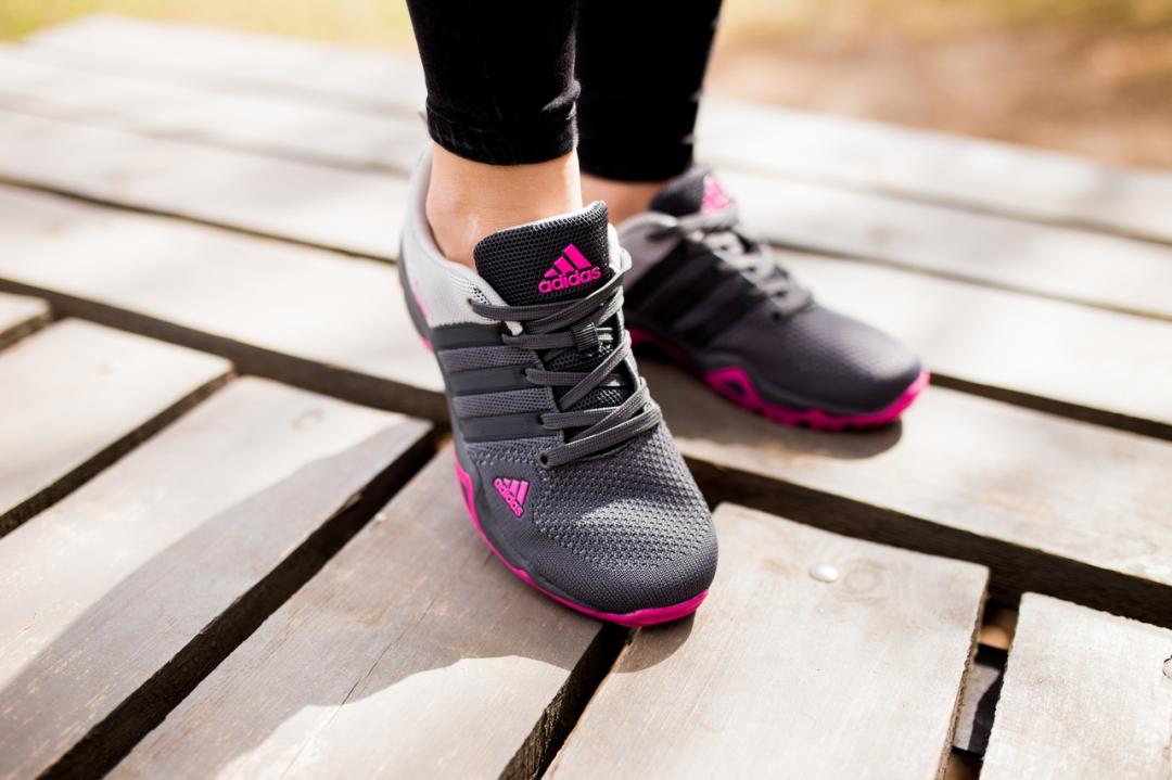 Adidas Terrex AX2 Grey Pink