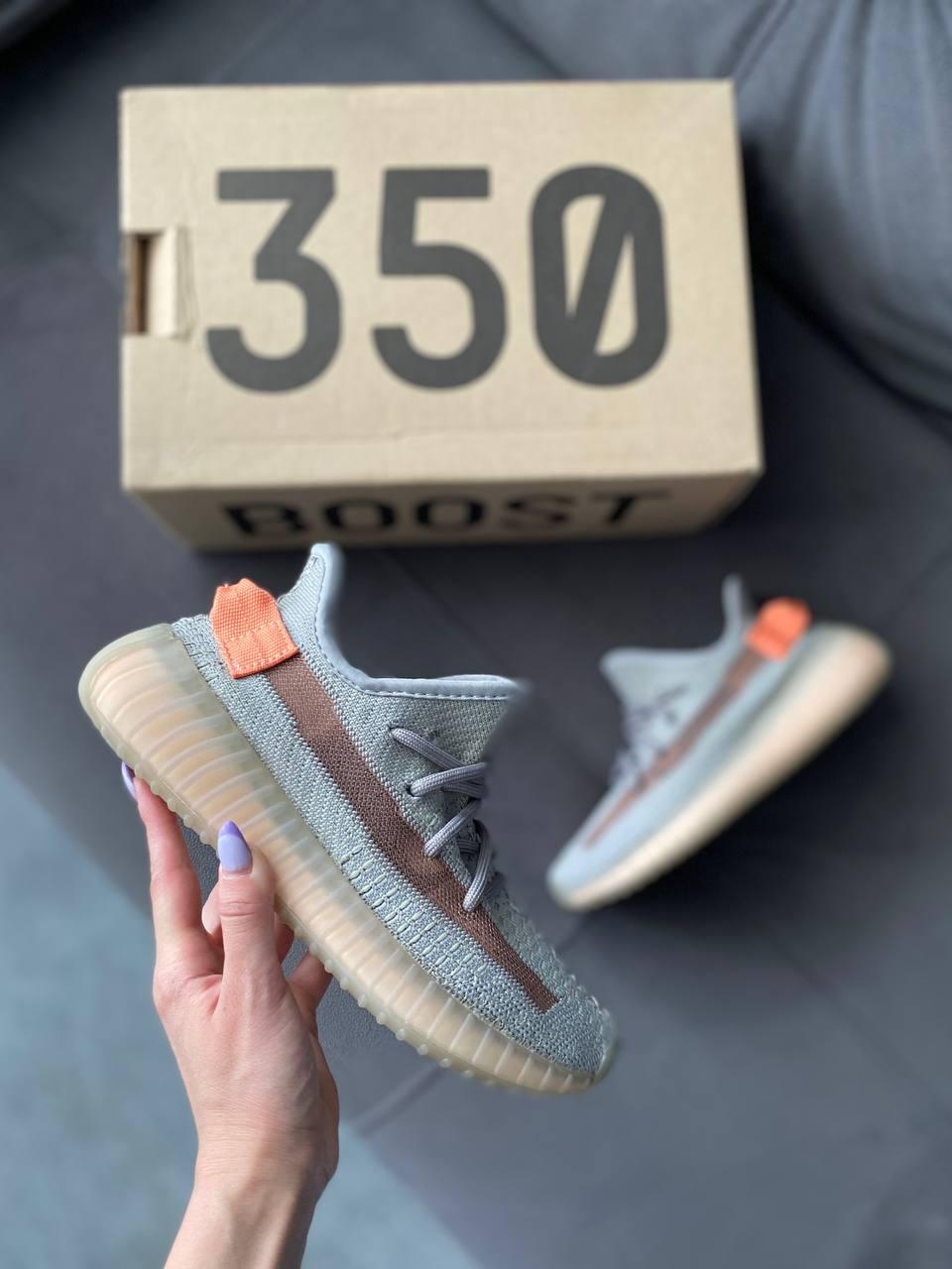 Adidas Yeezy Boost 350 V2 TRFRM
