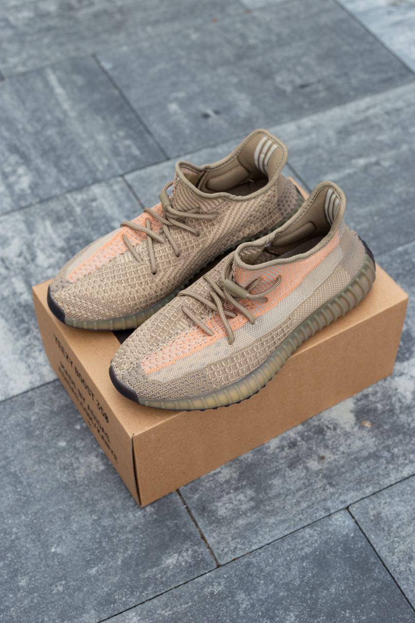 Adidas Yeezy Boost 350 V2 Eliada