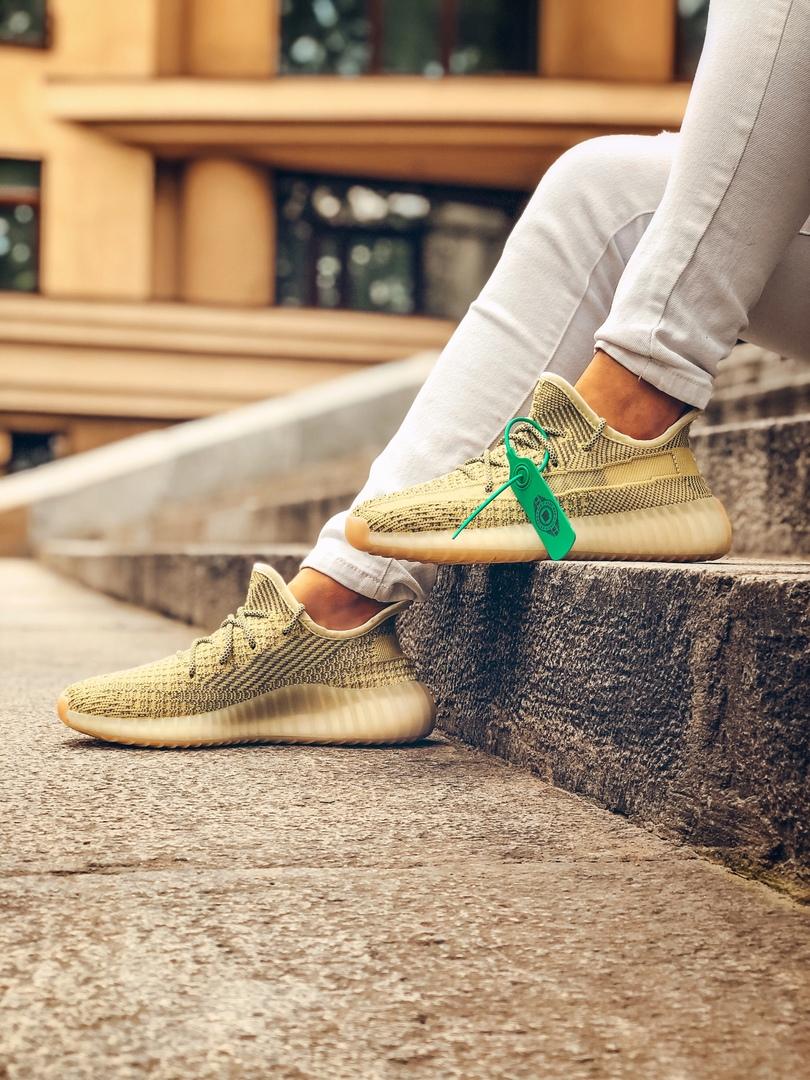 Adidas Yeezy Boost 350 V2 Antlia (Полный Рефлектив)