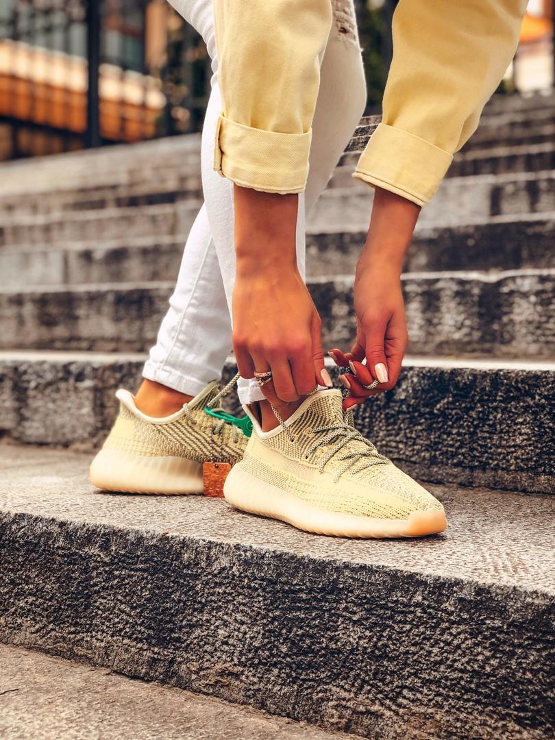 Adidas Yeezy Boost 350 V2 Antlia (Полный Рефлектив)