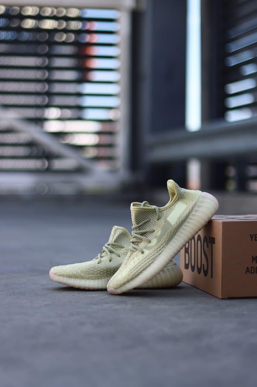 Adidas Yeezy Boost 350 V2 Antila Reflective