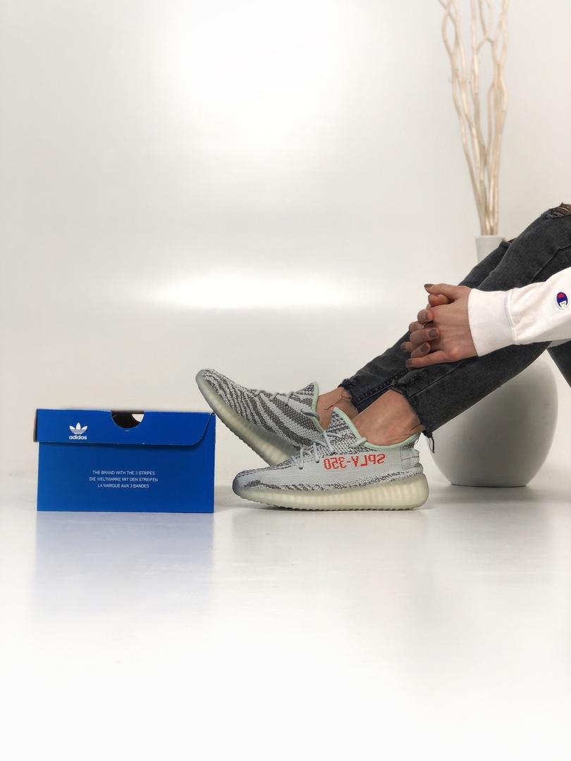 Adidas Yeezy Boost 350 V2 Zebra