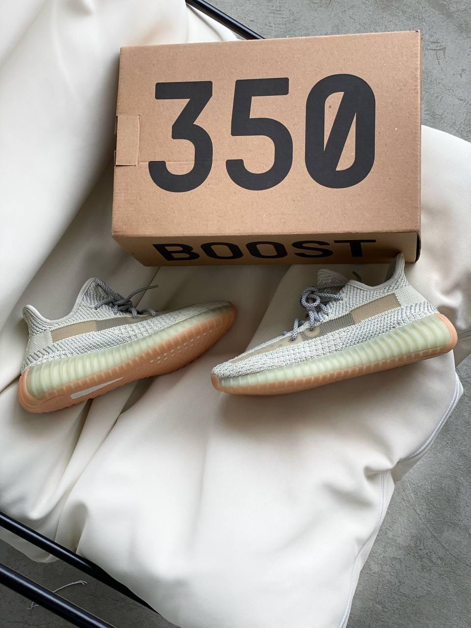 Adidas Yeezy Boost 350 V2 Yeshaya 1