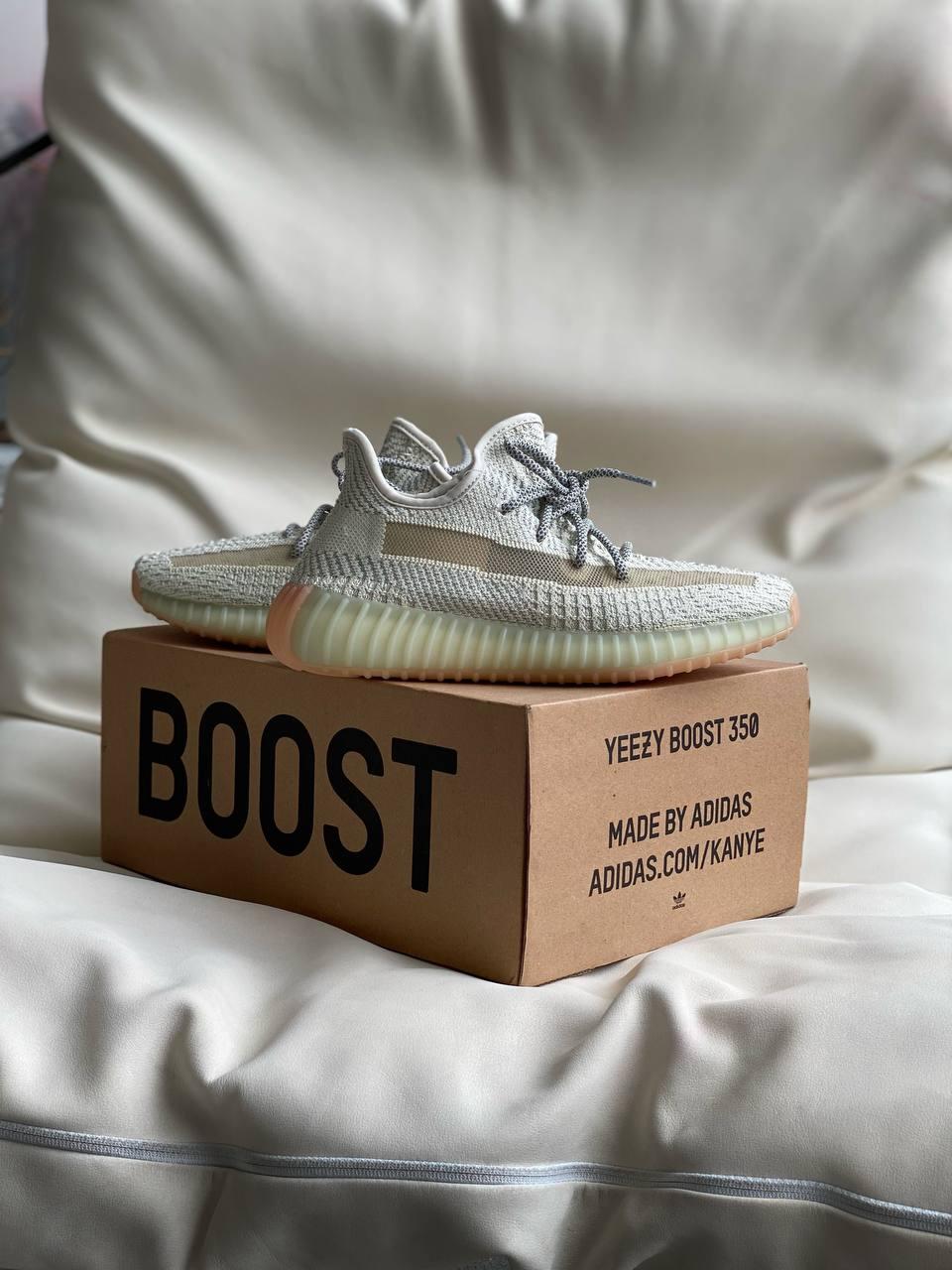 Adidas Yeezy Boost 350 V2 Yeshaya 1